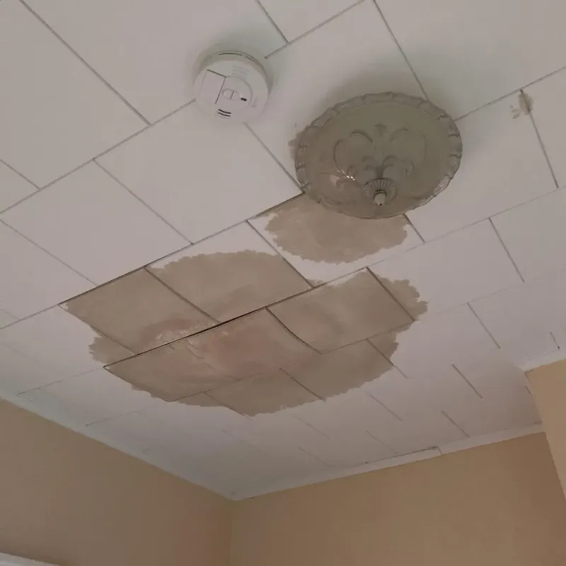 Ceiling Water Damage Repair in Oakwood Hills, IL