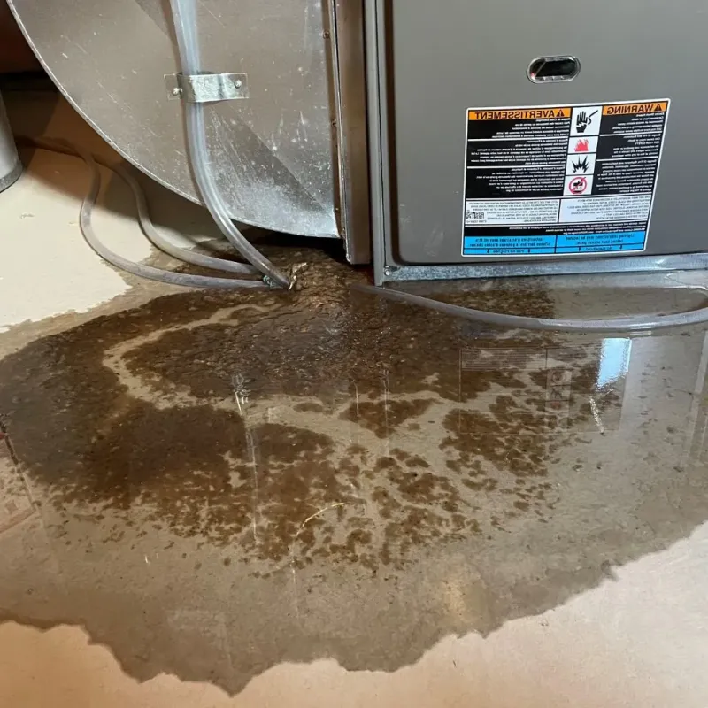 Pipe Burst and Leak Restoration in Oakwood Hills, IL