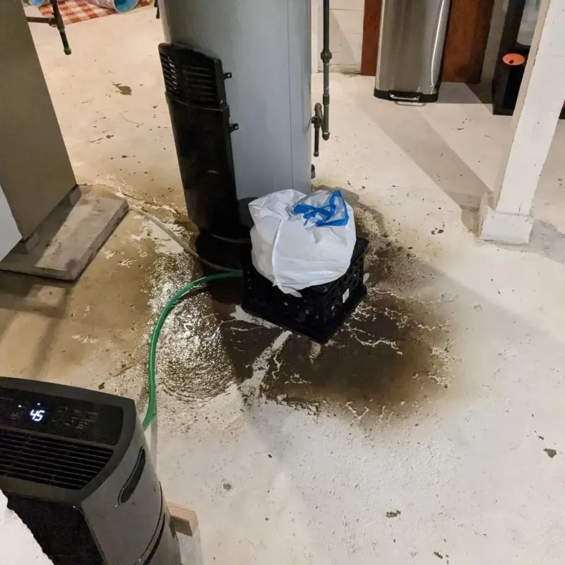 Sewage Backup Cleanup Service in Oakwood Hills, IL